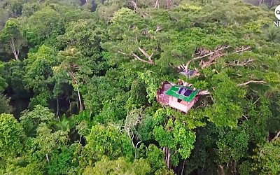WATCH: Is this rainforest treehouse the world's coolest classroom?