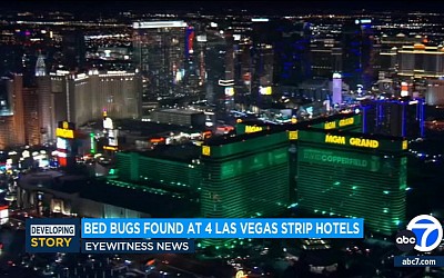 Bed bugs found at 4 popular hotels on Las Vegas Strip