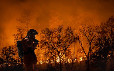 Pacific Northwest Will Be Next Victim of Increasing Wildfires
