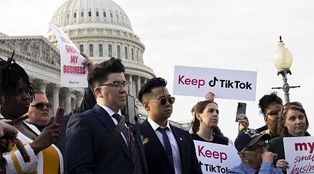 TikTokers are enthusiastically joining the app's call to wage war on Congress over a potential ban
