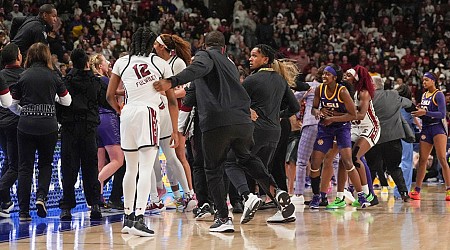 What we know: South Carolina's wild weekend ends with fight, multiple ejections