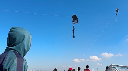 WATCH: Displaced children in Gaza seek solace in kites