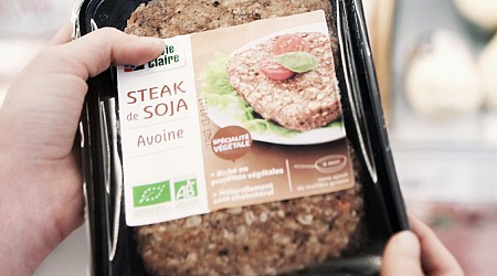 France Becomes Latest Government to Regulate ‘Meat’ Labels for Plant-Based Food
