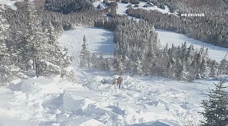 Sugarloaf Mountain avalanche buries skier up to his neck