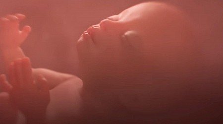 States moving to require schools to show inaccurate fetal development video