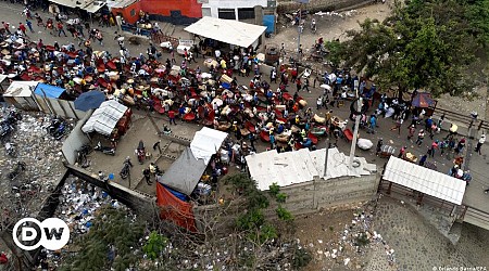 Haiti: France evacuates 240 French and EU citizens
