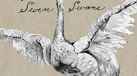 Seven Swans Turns 20