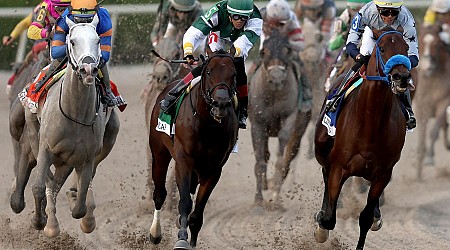 Fountain Of Youth 2024 Odds, Field And Picks On The Road To The Kentucky Derby