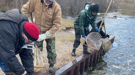 Michigan DNR stocks large trout in Southeast Michigan: What to know