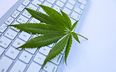 2024 Marijuana Legalization Review: A Guide For Employers In A Complex Legal Landscape