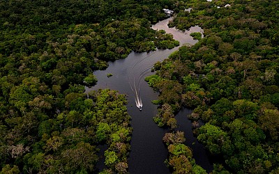 Brazil and France announce $1.1 billion investment plan for Amazon rainforest after years of friction
