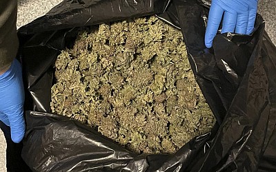 Marijuana grow busted in rural Maine
