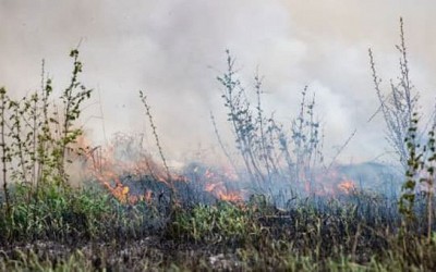 7 Michigan counties to see controlled burns Thursday