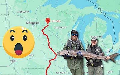 Sturgeon Tagged In Wisconsin Travels Record Distance