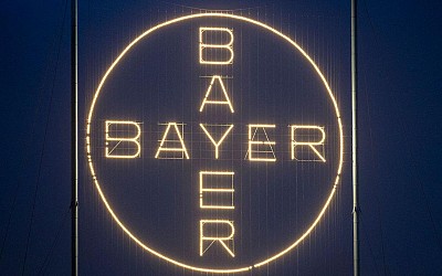 Chemie: Wegen Glyphosat: Menschenrechtler beschweren sich über Bayer