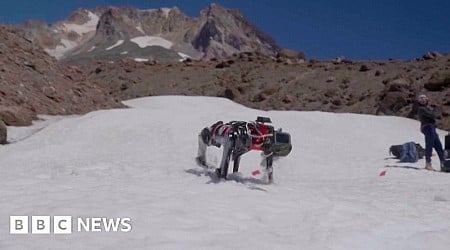 Engineers in Oregon train dog robot to walk on Moon