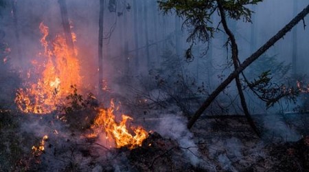It's wildfire awareness week in New Hampshire