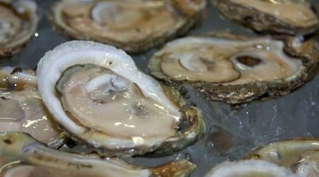 FDA warns California restaurants, diners to avoid certain half-shell oysters