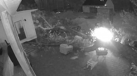 Dads dodge death as 40-foot tree crashes down on backyard fire pit