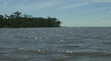 Mercury and fish advisories issued for 11 waterways, including Lake Maurepas