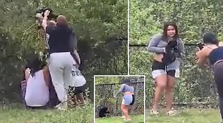 Group snatches bear cubs out of tree just to take selfies with them in disturbing clip