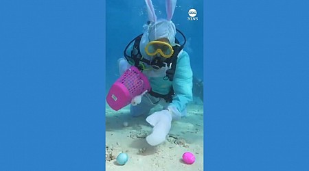 WATCH: Easter Bunny hosts underwater egg hunt in the Florida Keys