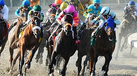 Louisiana Derby 2024 Odds, Field And Picks On The Road To The Kentucky Derby
