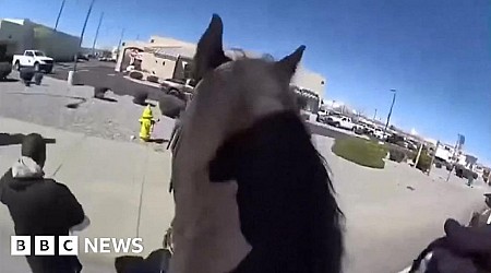 Police on horseback chase down shoplifting suspect