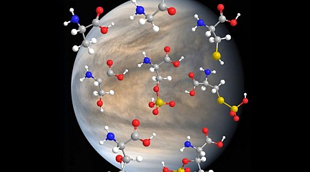 Grundbaustein des Lebens: Aminosäuren in Venusatmosphäre überraschend stabil