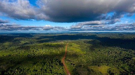 Stéphen Rostain : « L’Amazonie, ce n’est pas que le Brésil »
