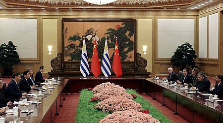 Uruguay upgrades China ties to match big South American neighbours