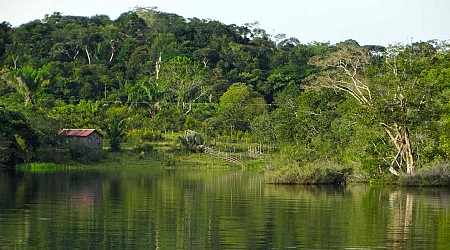 Amazônia no mercado de capitais? Entenda o novo título vinculado à natureza