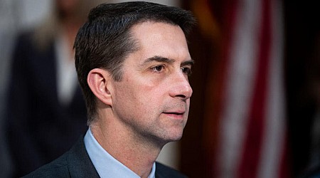 Online threats against pro-Palestinian protesters rise in wake of Sen. Tom Cotton's comments about protests