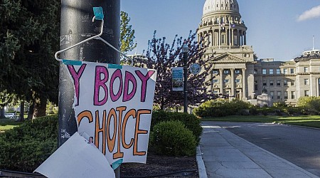 Idaho Goes to the Supreme Court to Argue That Pregnant People Are Second-Class Citizens