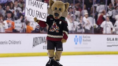 Arizona’s hockey fans become the latest to be tossed aside by NHL