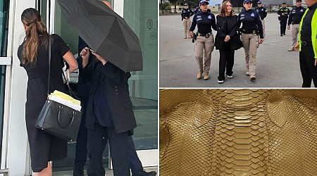 Celebrity handbag designer sentenced to 18 months in prison for smuggling crocodile handbags