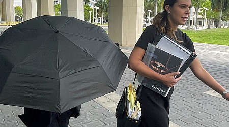Celebrity handbag designer sentenced to 18 months in prison for smuggling crocodile handbags