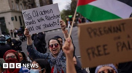White House condemns antisemitism at college protests