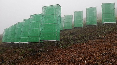 Redes que "ordeñan" la niebla y generan agua en su lugar: el invento de Canarias para combatir la sequía