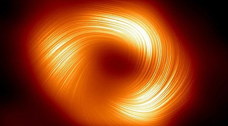 Swirling Magnetic Fields Visible in New Black Hole Images