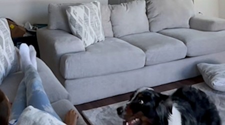WATCH: Digital creator shares video of her dog staying with her during a seizure