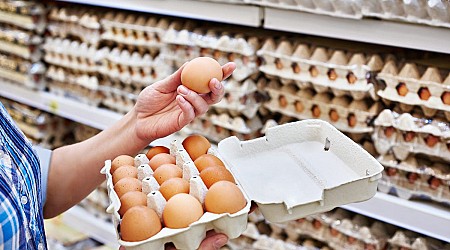 Bird flu could push egg prices up — again