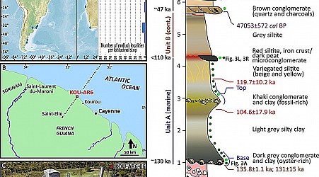 Researchers discover 125,000-year-old coastal ecosystem underneath spaceport in Kourou