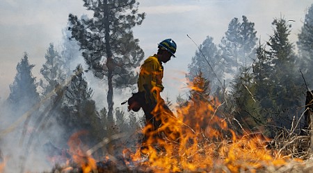 New study reveals unintended consequences of fire suppression