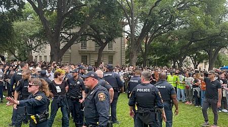 UT protesters arrested during pro-Palestine rally after state troopers, police intervene