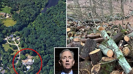 Conn. Gov. Ned Lamont 'illegally' cuts trees, bushes behind $7.5M home
