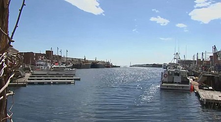 Gloucester harbormaster’s firing draws questions and criticism from boaters