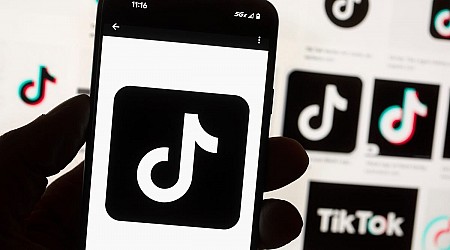 TikTok has promised to sue over the potential US ban. What's the legal outlook?