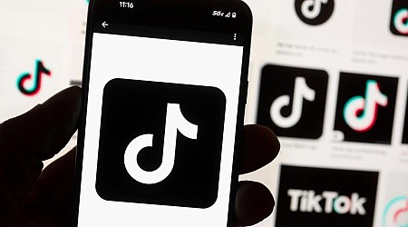 TikTok has promised to sue over the potential US ban. What’s the legal outlook?