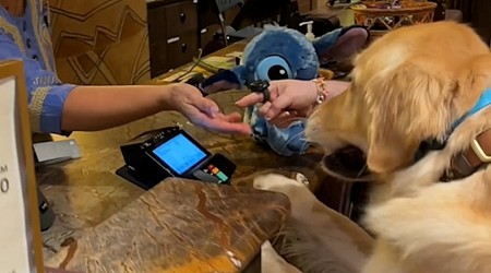 WATCH: Service dog picks out his own toy and pays for it